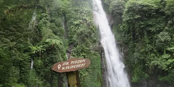 Explorer la Beauté Naturelle Air Terjun Batang Hari