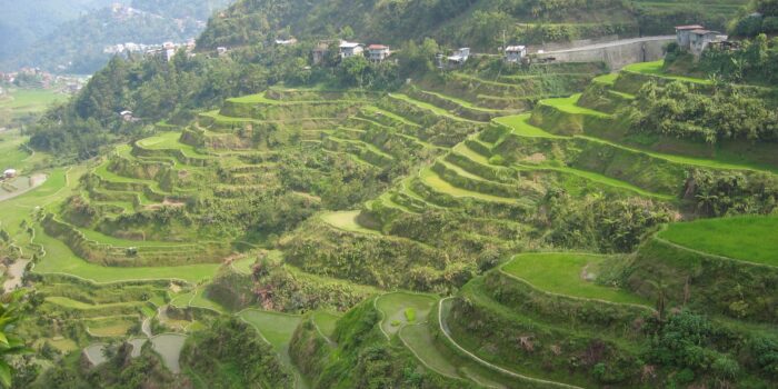 Antique Rice Terraces