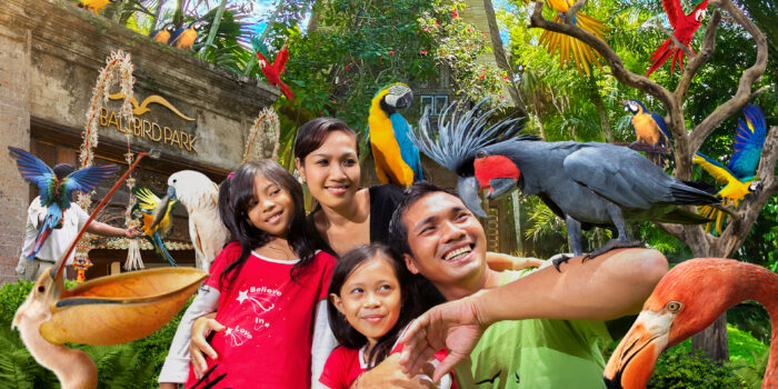 Explorer la Beauté Naturelle de Bali Bird Park