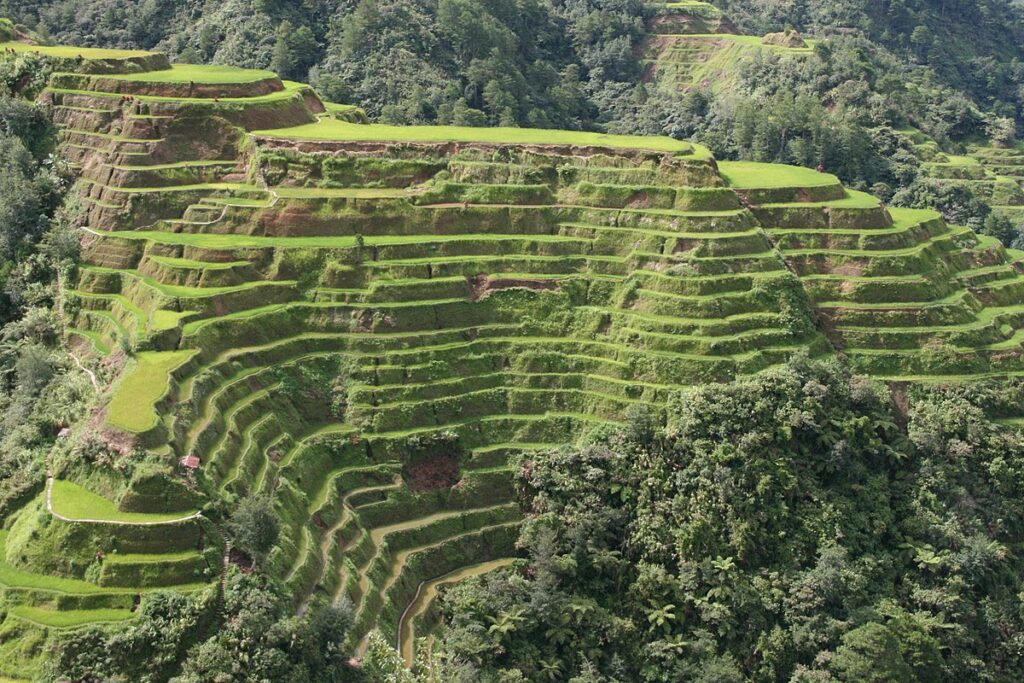 Banaue Rice Terraces- Ifugao