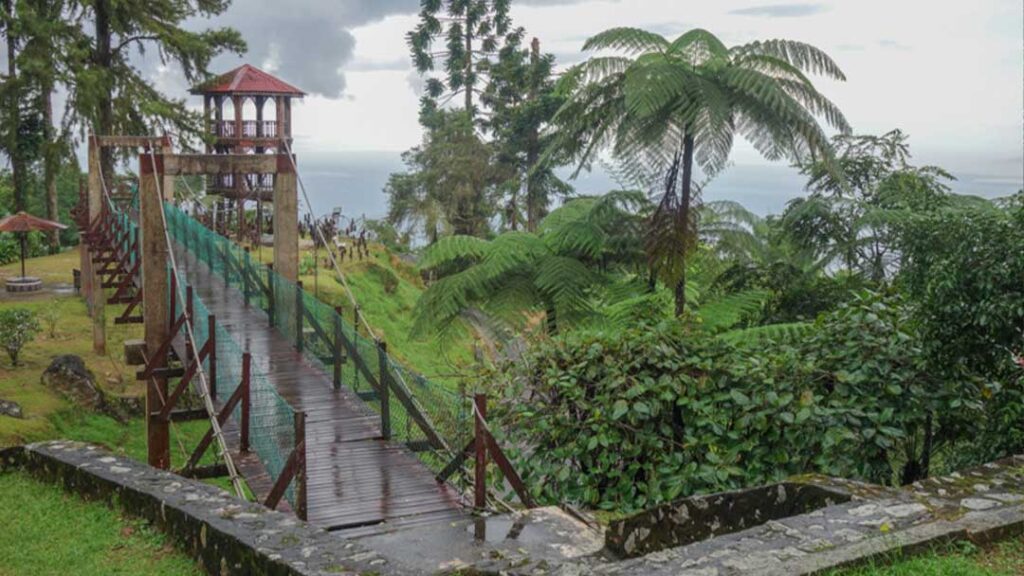 Bukit Larut (Maxwell Hill)- Perak