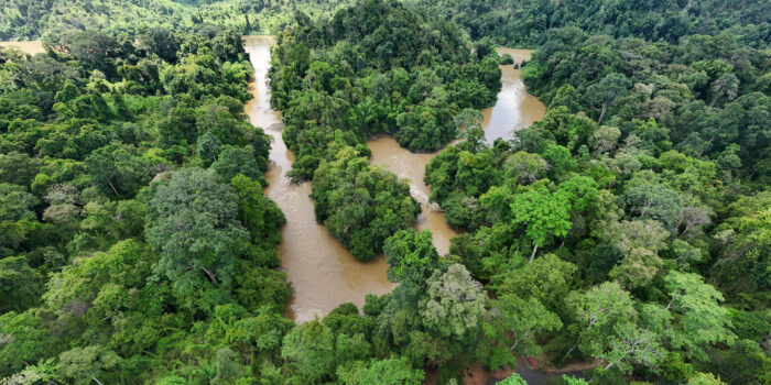 Cat Tien National Park
