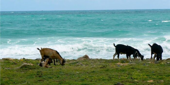 Con Dao National Park