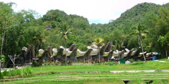 Découverte de la Maison Tongkonan à Toraja