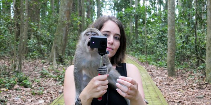 Découvrez le Habitat des Singes à Sangeh