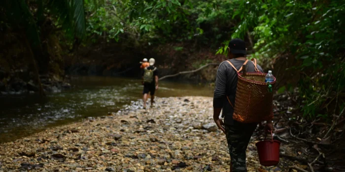 Exploration des Rivières en Barque de Kalimantan