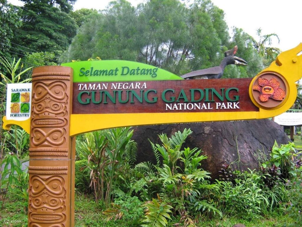 Gunung Gading National Park- Sarawak