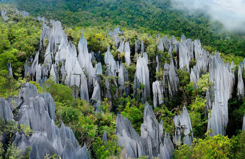 Gunung Mulu National Park- Sarawak