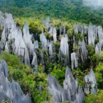 Gunung Mulu National Park- Sarawak