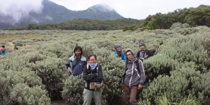 Gunung Papandayan