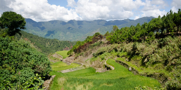 Kalinga Province (Tinglayan Rice Terraces- Buscalan Village)