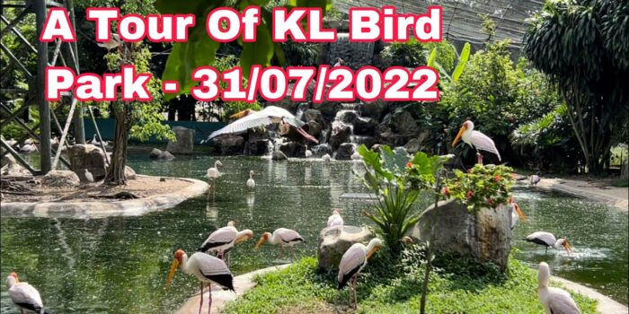 Kuala Lumpur Bird Park- Kuala Lumpur