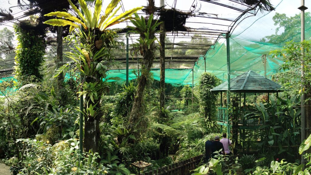 Kuala Lumpur Butterfly Park- Kuala Lumpur