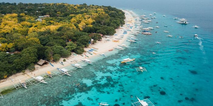 Pamilacan Island- Bohol