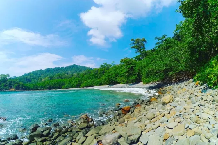 Pantai Teluk Hijau