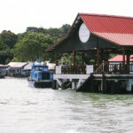 Explorer la Beauté Naturelle Pulau Ubin