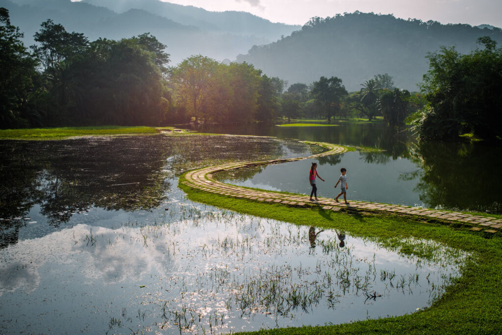 Taiping Lake Gardens- Perak