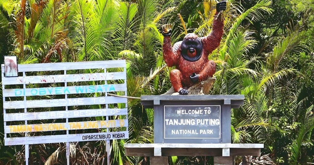 Taman Nasional Tanjung Puting