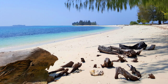 Découvrez Morotai pour de Nouvelles Aventures!