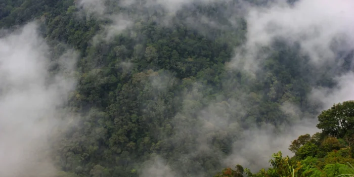 Air Terjun Lubang Sewu