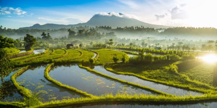 Évasion à Bali : Activités Romantiques à Deux